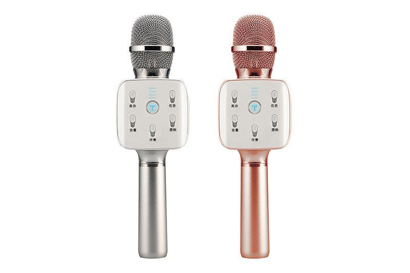 Mike - Wireless Microphone with built-in Speaker – div.kareoka